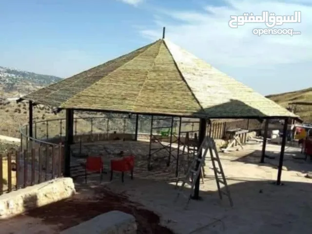 قصيب اصفر واخضر للحدائق والمنتزهات والجلسات الخارجيه والاطلالات للتواصل