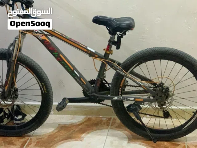 Mountain bike
