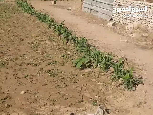 Residential Land for Sale in Rif Dimashq Other