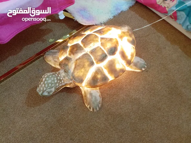 سلحفاة حدائق مضيئه للبيع