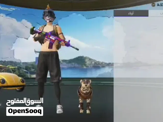 Pubg Accounts and Characters for Sale in Tubas