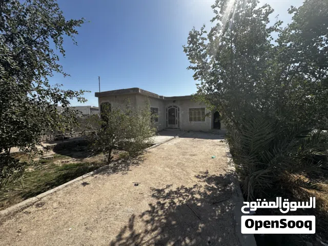 بيت مساحة الف متر زراعي في الزبير حي السباع خلف المعارض
