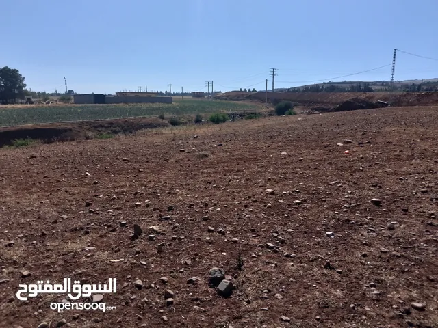 Mixed Use Land for Sale in Medea Other