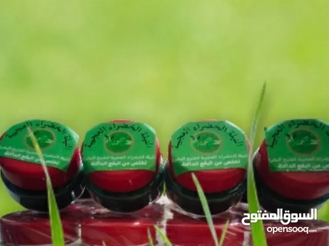نيله الخضراء العجيبة