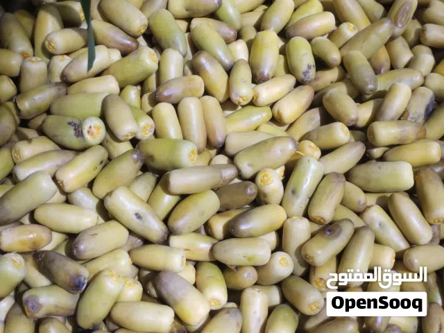 رطب نعال للبيع بسعر الجمله 4كيلو 3