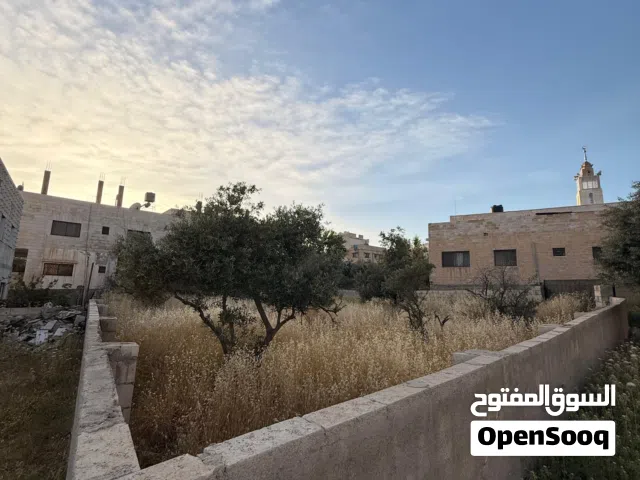 أرض سكنية للبيع في جاوا خلف مدرسة جاوا الأساسية للبنين في منطقة حيَّه