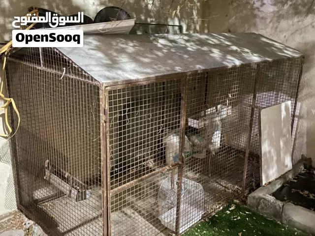 قفص شبه جديد لايوجد فيه اي كسر او شي