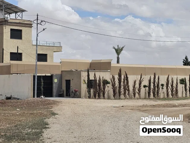 الجيزة حوض 6 الحجرة شرق الشارع