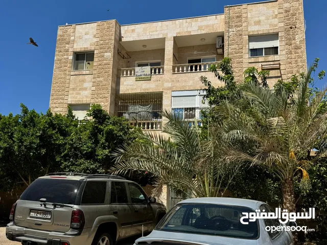 80 m2 2 Bedrooms Apartments for Sale in Aqaba Al-Sakaneyeh 8