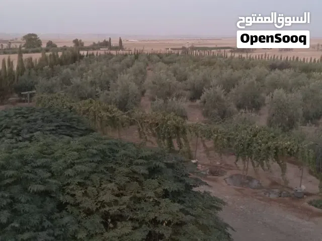 Residential Land for Sale in Amman Al Jizah
