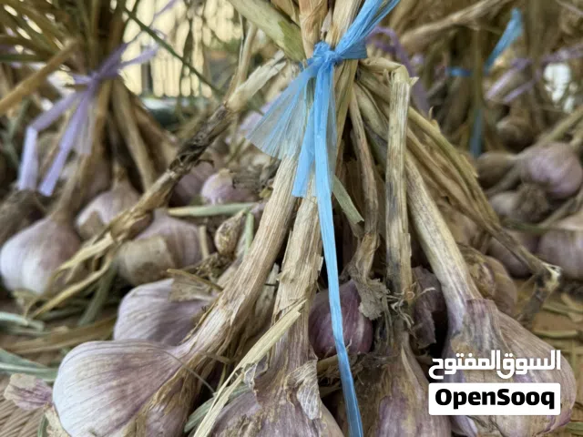 ثوم عماني محلي للبيع