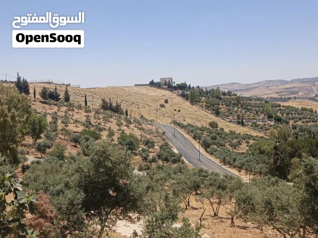 اراضي في أجمل مواقع الحمر مشروع الحمر هايتس