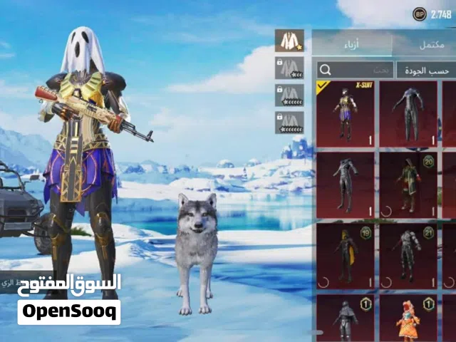 Pubg Accounts and Characters for Sale in Riqdalin