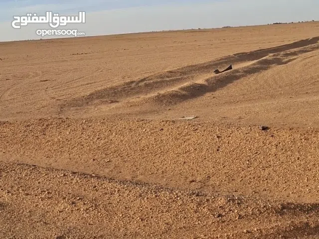 Farm Land for Sale in Sabha Other