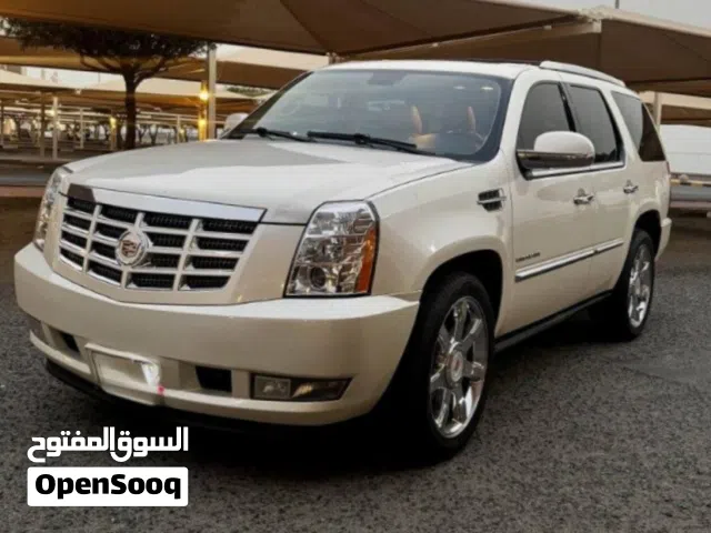 2014 كاديلاك اسكاليد Premium