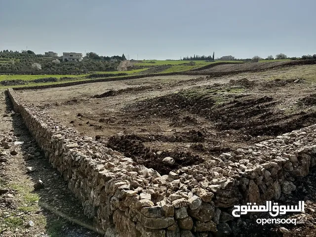 Farm Land for Sale in Irbid Ham