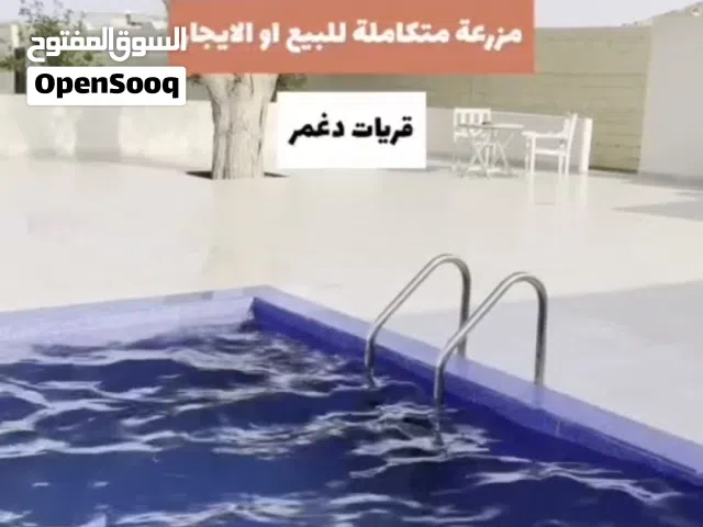 Studio Farms for Sale in Muscat Quriyat