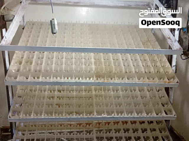 فقاصه دجاج للبيع