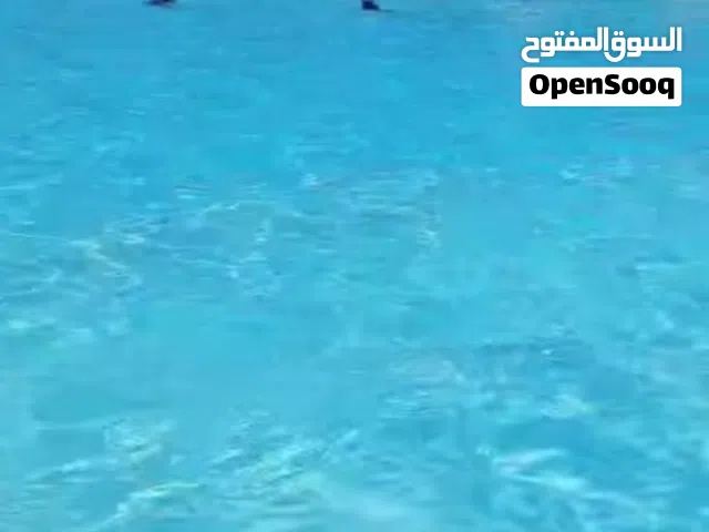 2 Bedrooms Chalet for Rent in Alexandria North Coast
