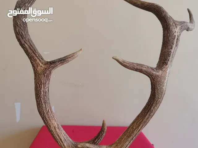 تحفه للمجالس والمكاتب والمنازل