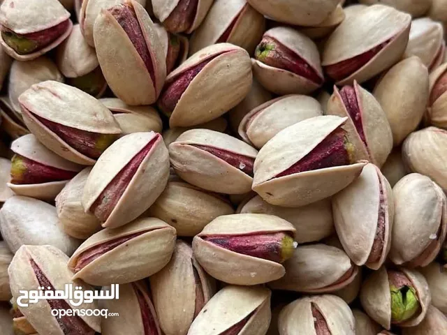 فستق أكبري من الدرجة الأولى، عالي الجودة للتصدير، للحدائق الخاصة في إيران