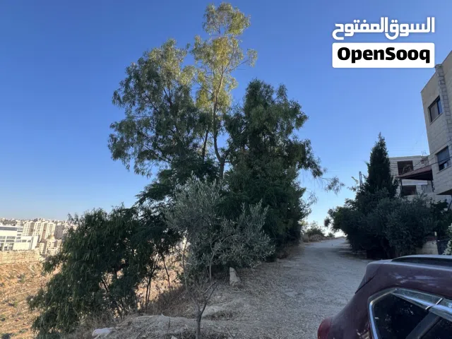 Commercial Land for Sale in Ramallah and Al-Bireh Abu Qash