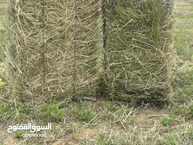 صفصفه للبيع