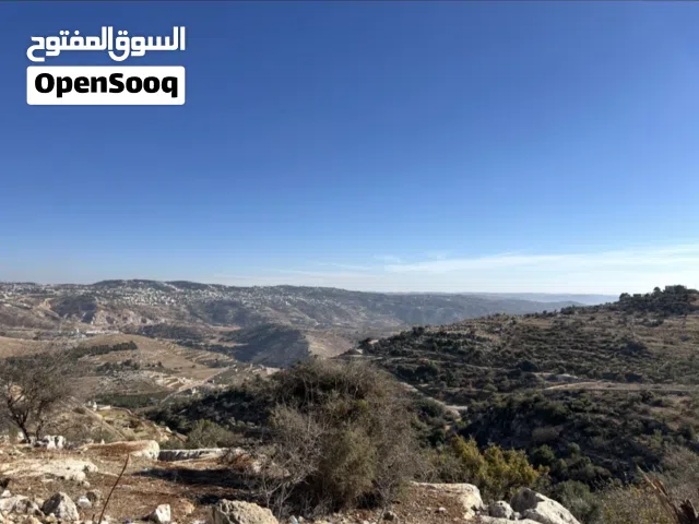 Farm Land for Sale in Salt Other