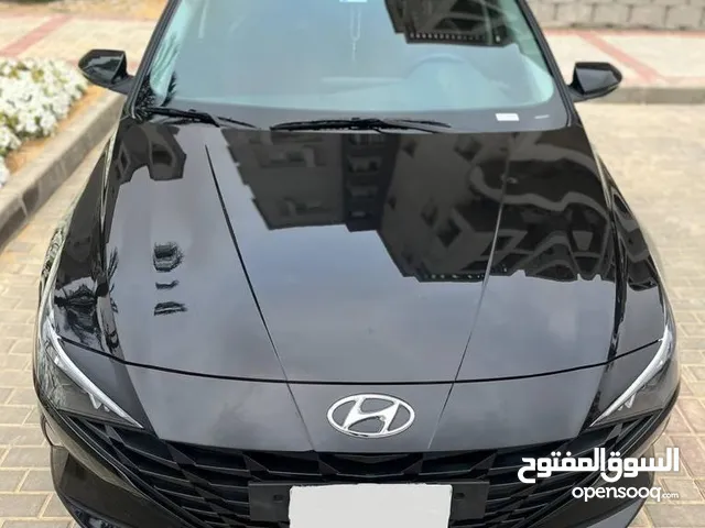 Hyundai Elantra in Cairo