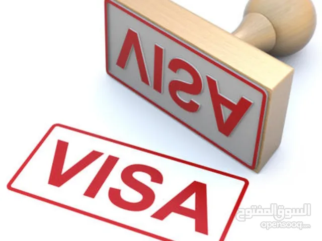 visa for network-electircian-cleaner-gardening profession