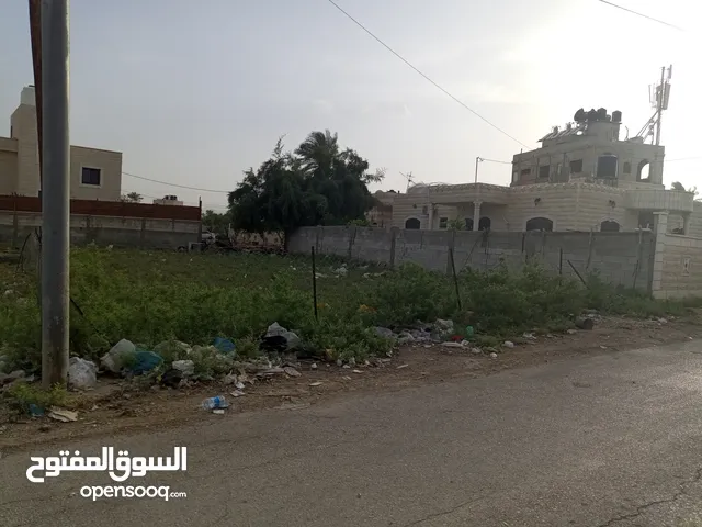 Mixed Use Land for Sale in Jericho Astirahat Ariha