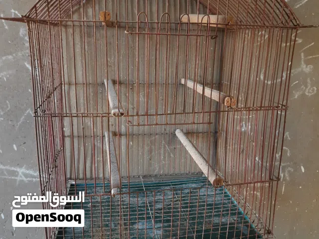 قفص طيور وببغاءات كبير – متين ومطار واسع
