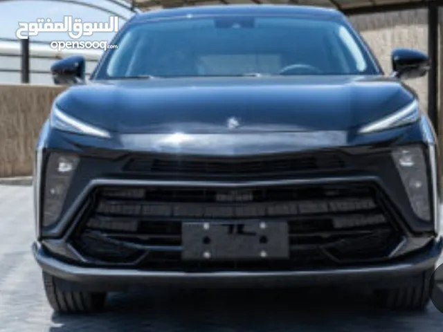 دونج فينج وكالة 2024 فل الفل