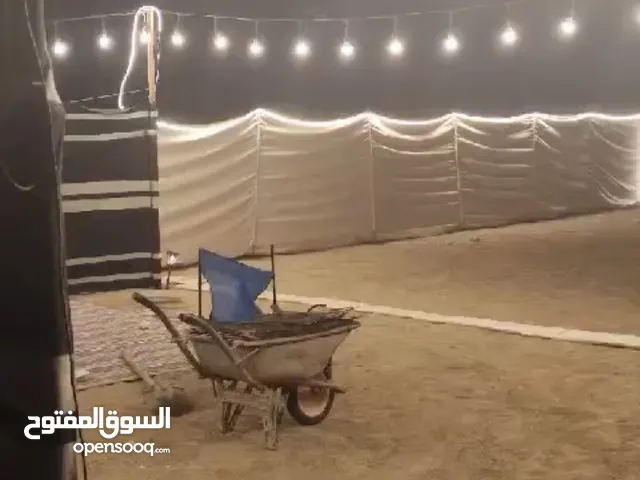 ليتات زينه  جديده فقط 25 متر مع 50 لمبه ب 13ریال