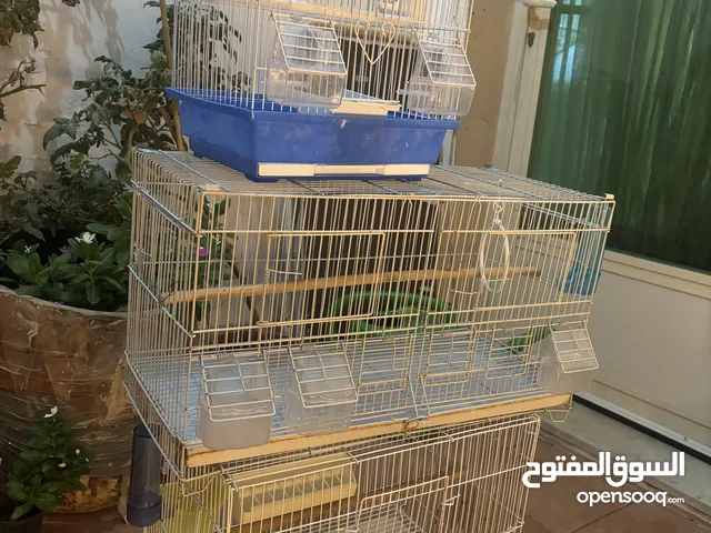 اقفاص طيور (عدد 3) مستعملة احجام مختلفة بحالة جيدة للبيع الكبير على 3.5 والصغير على 2 دينار