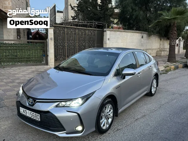 2024, Toyota, Corolla, Hybrid