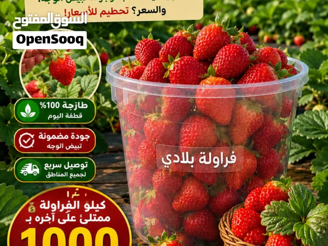 فراولة بلادي
