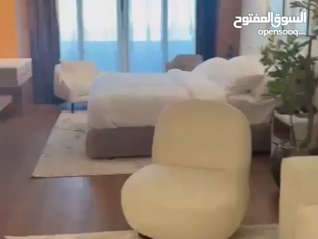 شقة فندقية علي النيل مباشرة مجهزه من كل شئ للبيع بسعر مغري