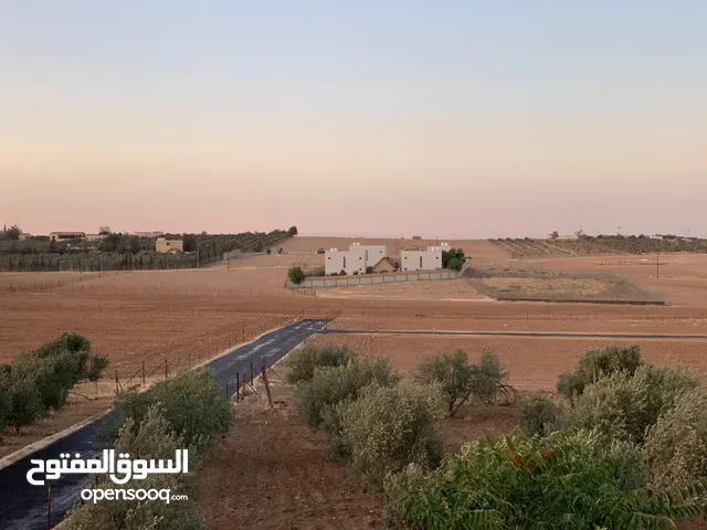 للبيع قطع ارضي مميزة بمساحات زراعية 3437م/3537م ملاصقة لمنجا تلعة النوران
