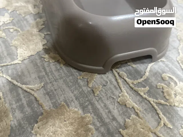 اللي عنده قط ضايع في الشوامخ 7 او قريب يتواصل معاي انا لقيت قطو ضايع