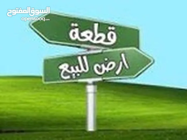 Residential Land for Sale in Baghdad Jihad