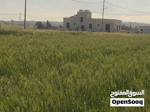 Residential Land for Sale in Amman Al-Baida