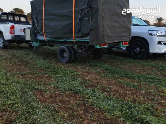 كرنفال للبيع