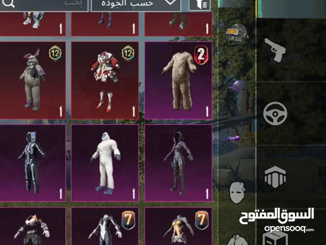 Pubg Accounts and Characters for Sale in Irbid