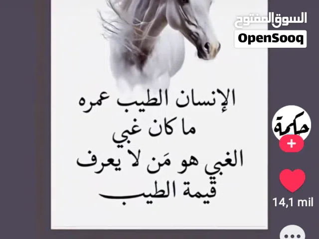 صالح علي صالح الصانع