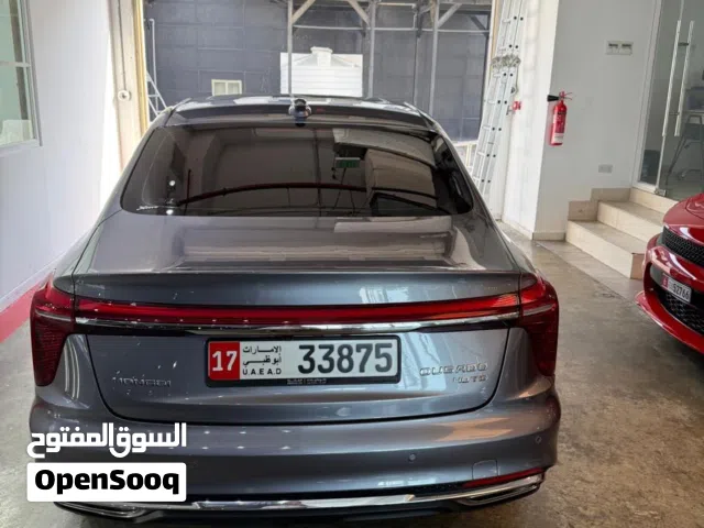 2024 هونج تشي OUSADO 2.0T Flagship