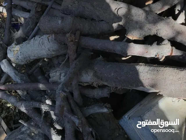حطب زيتون ولوز يابس درجة أولى متين وسميك مثالي للتعبئة والشوي ومتوفر بكميات وبتسعيرة منافسة