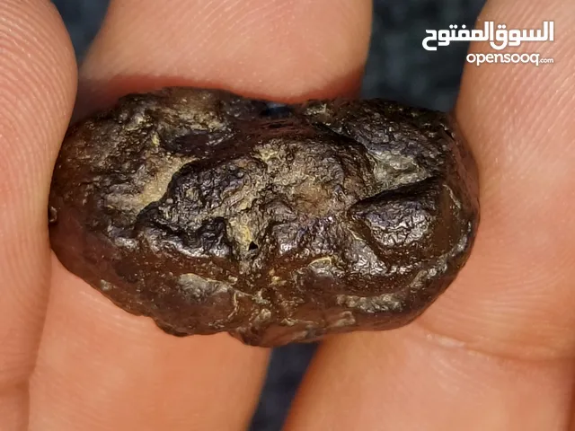حجر بري مصور تصاوير ربانيه