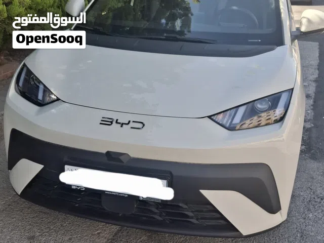2026 بي واي دي دولفين