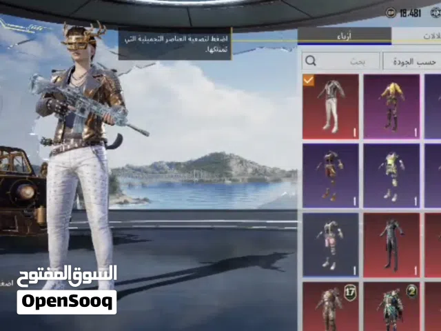 Pubg Accounts and Characters for Sale in Cairo